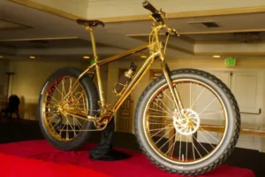 24k Gold Bike 2